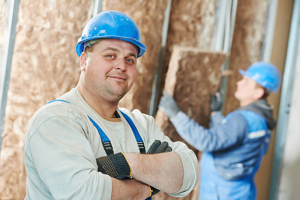 Best Insulation Maintenance and Repair in Colesville, MD