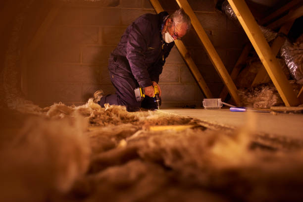 Best Residential Insulation in Colesville, MD